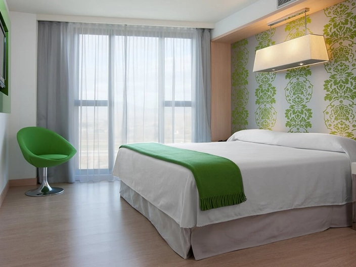 HOTEL CARLEMANY
